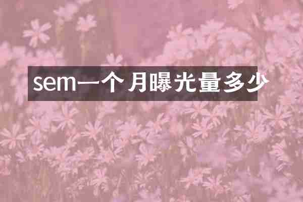 sem一个月曝光量多少
