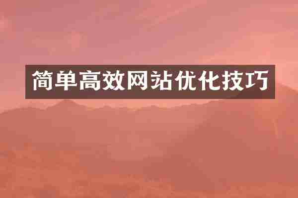 简单高效网站优化技巧