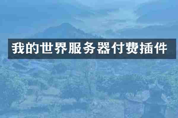 我的世界服务器付费插件