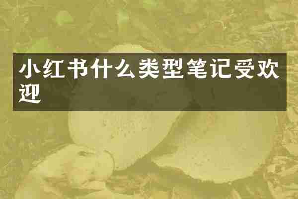 小红书什么类型笔记受欢迎