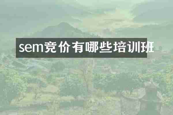 sem竞价有哪些培训班