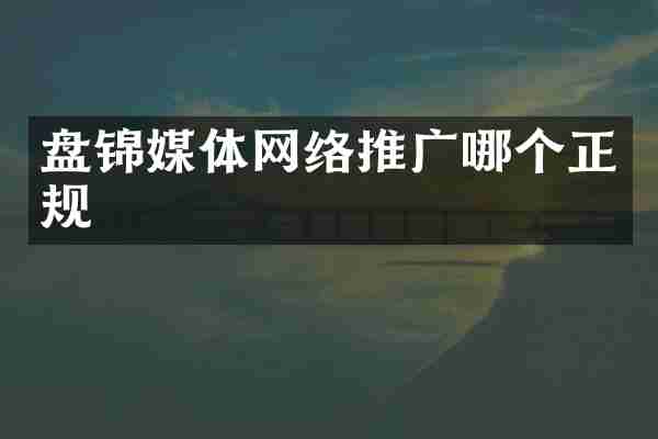 盘锦媒体网络推广哪个正规