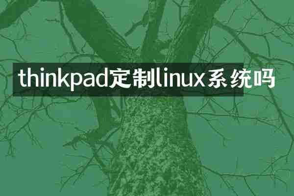 thinkpad定制linux系统吗