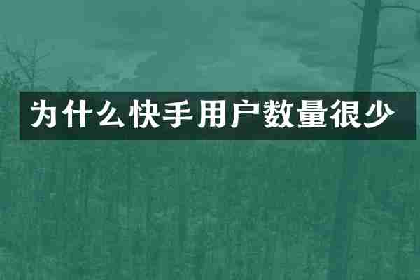 为什么快手用户数量很少