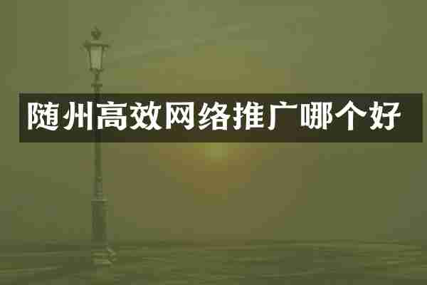 随州高效网络推广哪个好