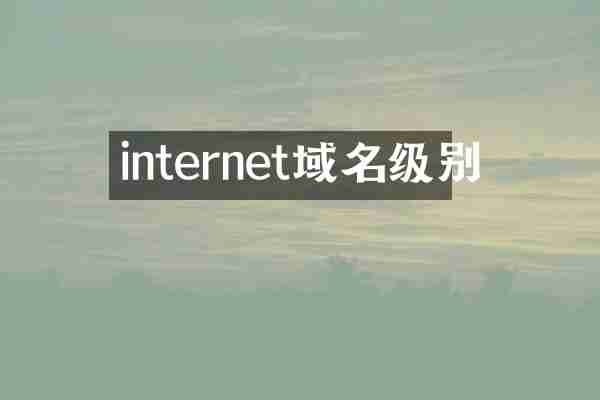 internet域名级别