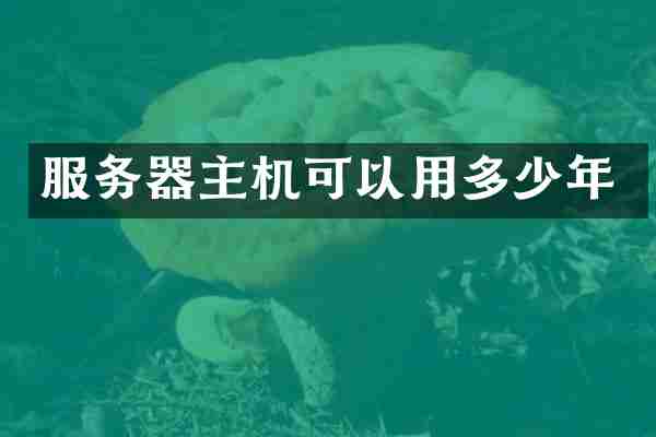 服务器主机可以用多少年