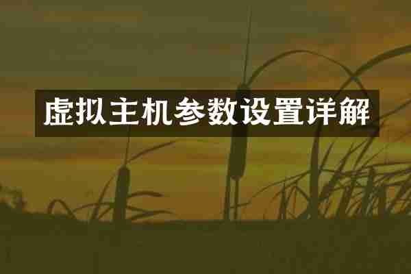 虚拟主机参数设置详解