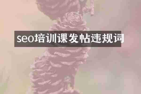 seo培训课发帖违规词