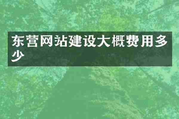 东营网站建设大概费用多少