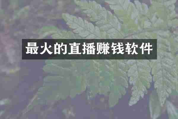 最火的直播赚钱软件
