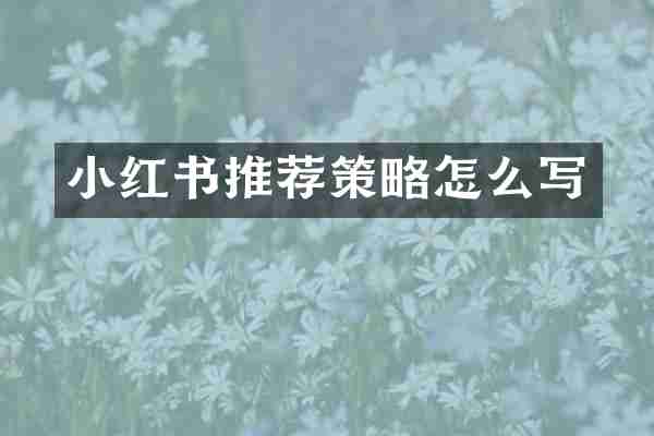 小红书推荐策略怎么写