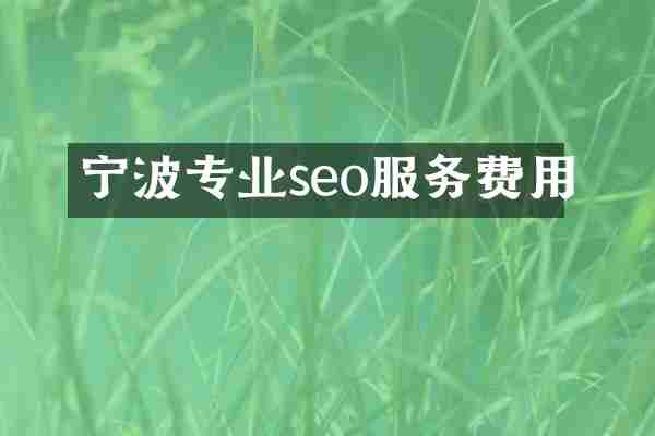 宁波专业seo服务费用