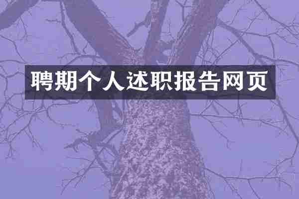 聘期个人述职报告网页