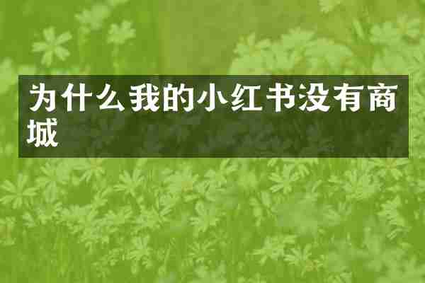 为什么我的小红书没有商城