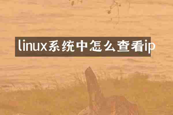 linux系统中怎么查看ip