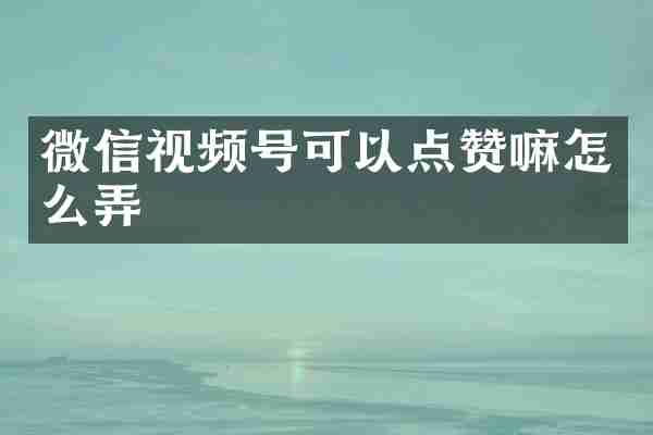 微信视频号可以点赞嘛怎么弄