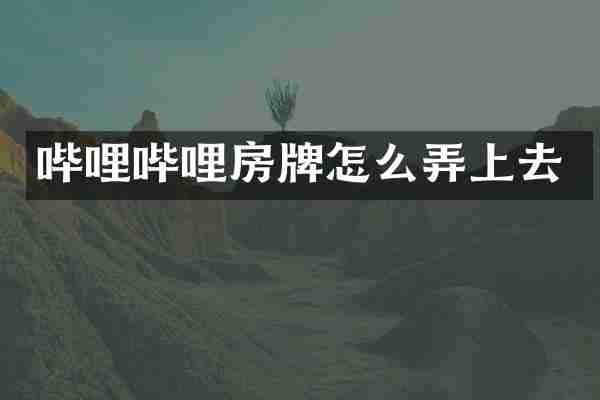哔哩哔哩房牌怎么弄上去