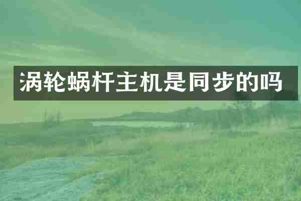 涡轮蜗杆主机是同步的吗