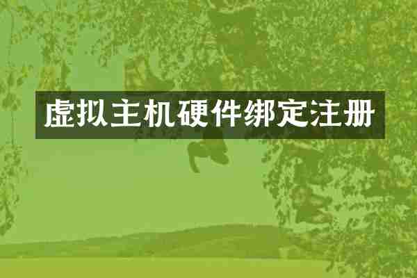 虚拟主机硬件绑定注册