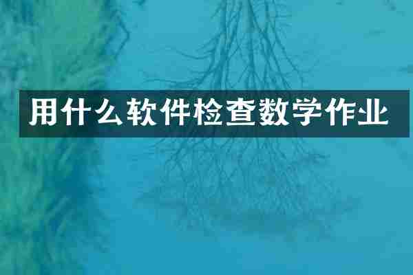 用什么软件检查数学作业