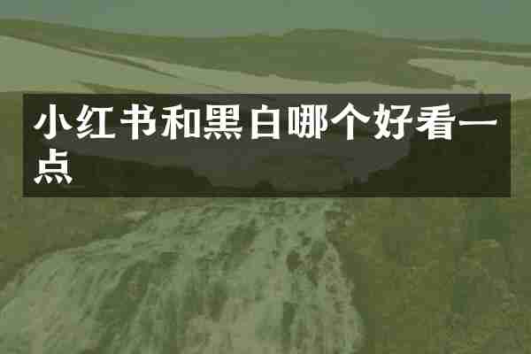 小红书和黑白哪个好看一点