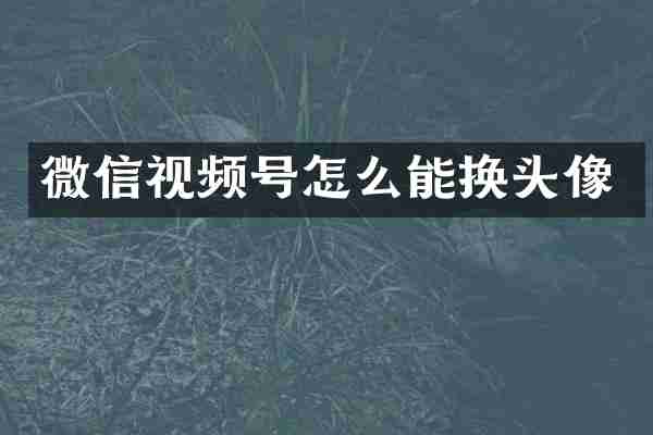 微信视频号怎么能换头像