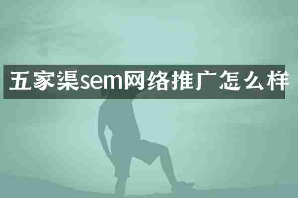 五家渠sem网络推广怎么样