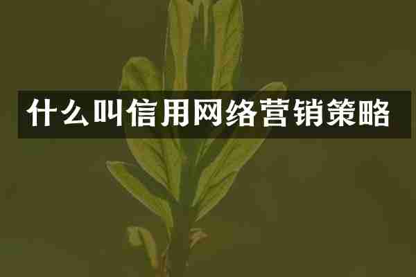 什么叫信用网络营销策略