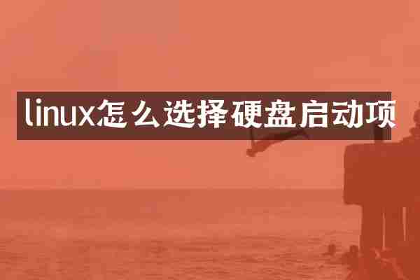 linux怎么选择硬盘启动项