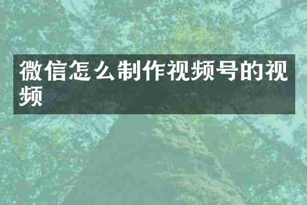 微信怎么制作视频号的视频