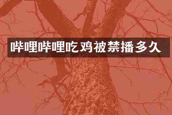 哔哩哔哩吃鸡被禁播多久