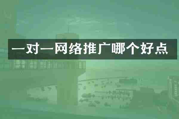 一对一网络推广哪个好点
