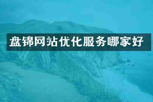 盘锦网站优化服务哪家好