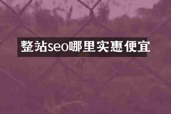 整站seo哪里实惠便宜