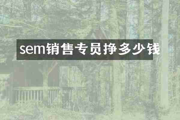 sem销售专员挣多少钱