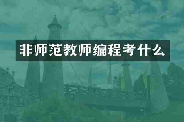 非师范教师编程考什么