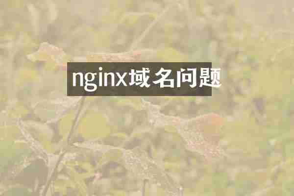 nginx域名问题