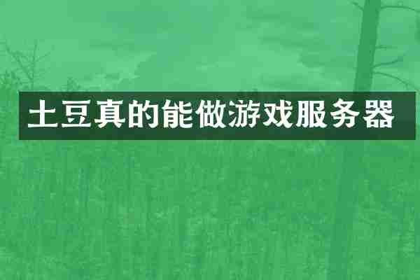 土豆真的能做游戏服务器