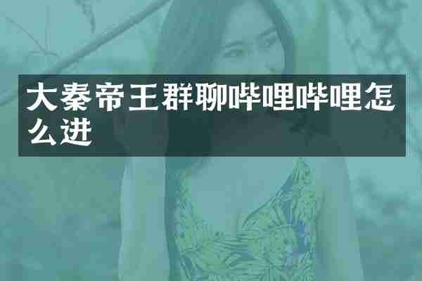 大秦帝王群聊哔哩哔哩怎么进