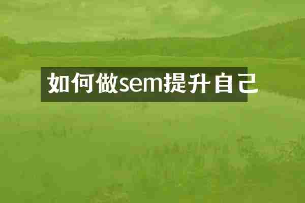 如何做sem提升自己