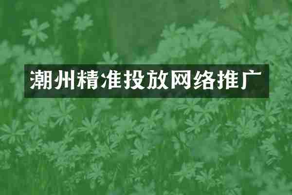 潮州精准投放网络推广
