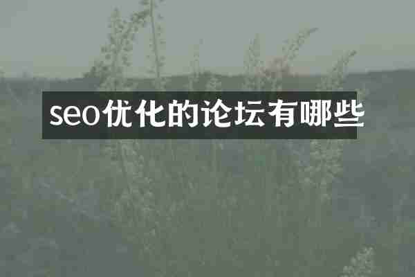 seo优化的论坛有哪些