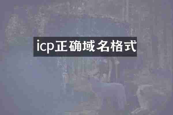 icp正确域名格式