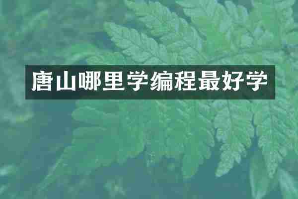 唐山哪里学编程最好学