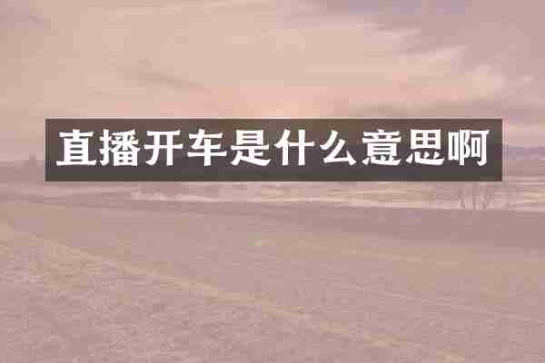 直播开车是什么意思啊