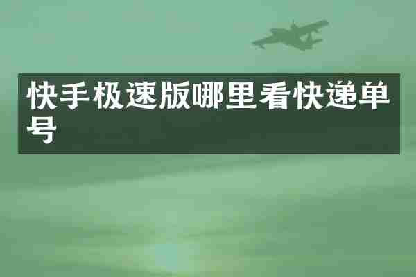 快手极速版哪里看快递单号