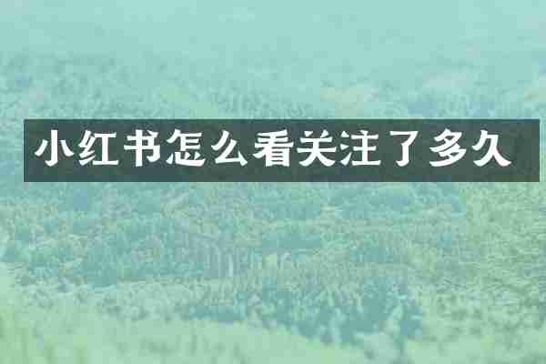 小红书怎么看关注了多久