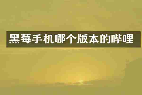 黑莓手机哪个版本的哔哩