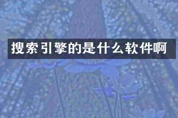 搜索引擎的是什么软件啊